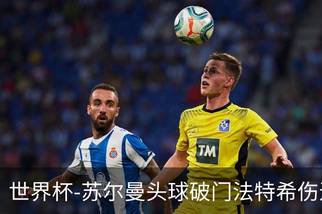 世界杯-苏尔曼头球破门法特希伤退 半场新西兰1-0埃及